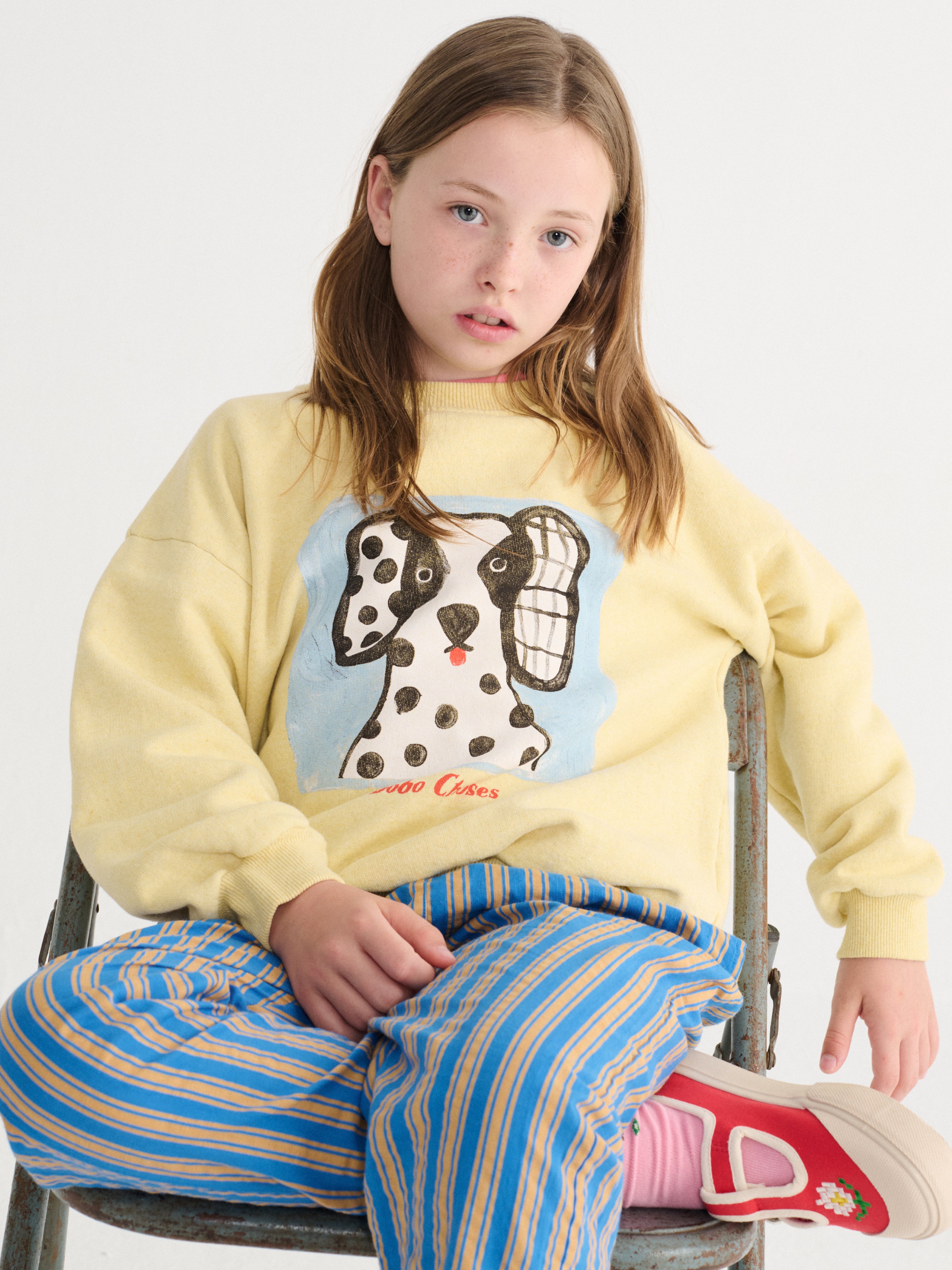 Bobo Choses - Van Dog Sweatshirt