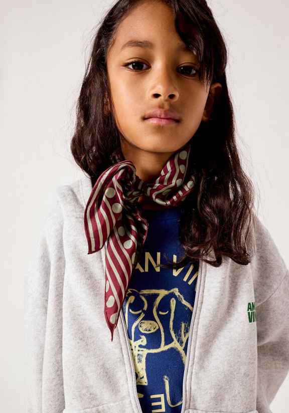 American Vintage - Baptown Long-sleeved hooded zip-up sweatshirt