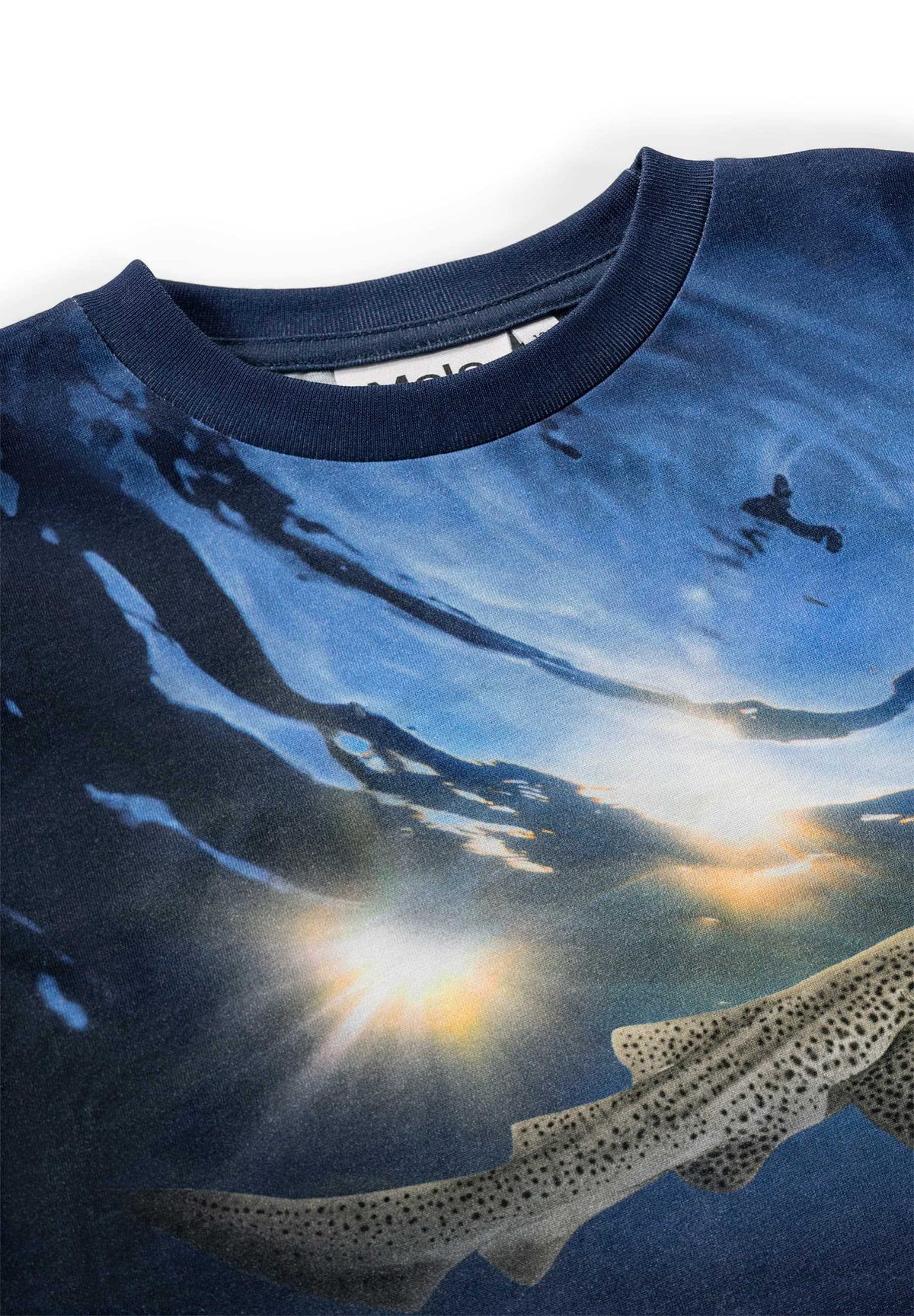 Molo - T-Shirt Manches Courtes Rame