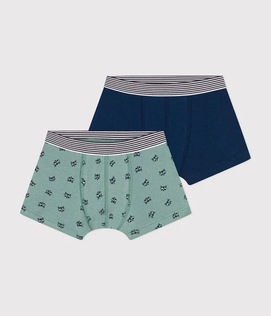 2 paires de boxers superposées. Une verte avec motif de raton illustrés et l'autre bleu marine.