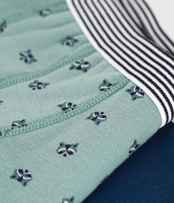 2 paires de boxers superposées. Une verte avec motif de raton illustrés et l'autre bleu marine.