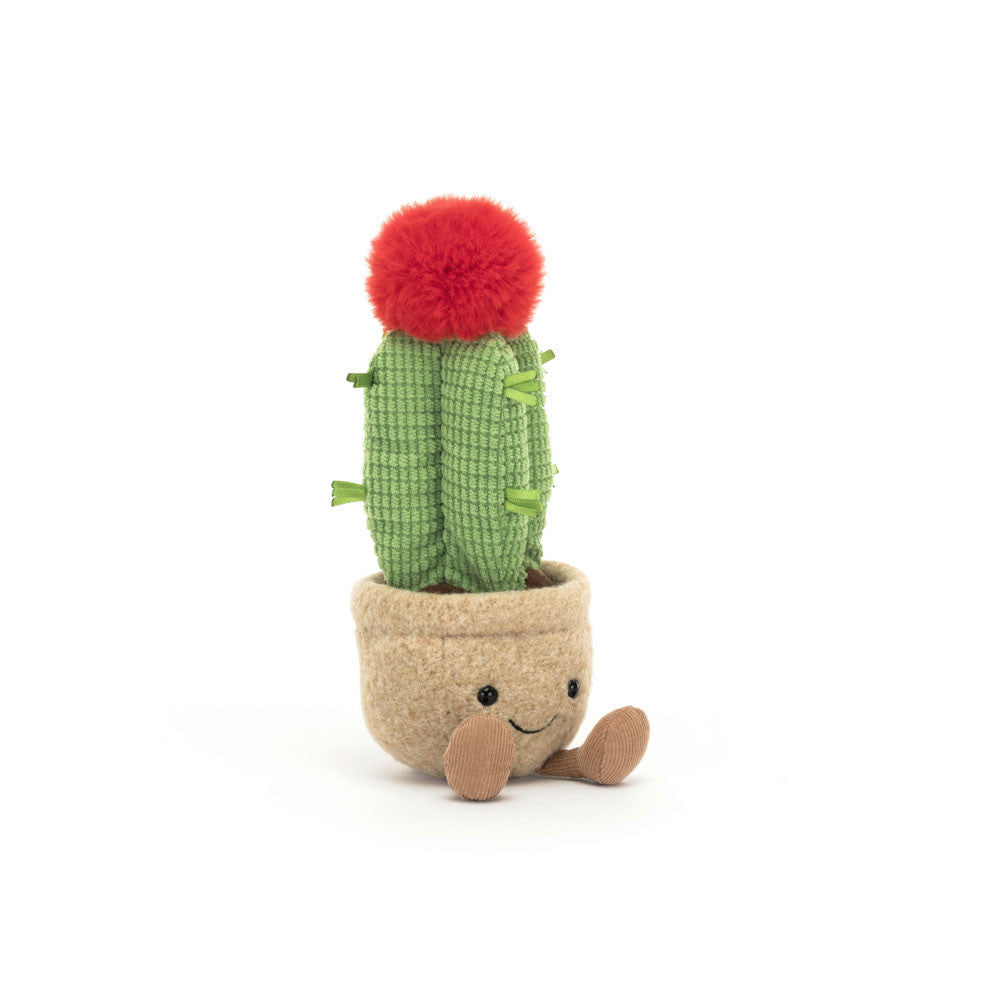 Jellycat - Amuseable Desert Cactus