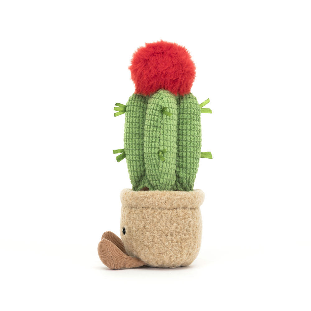 Jellycat - Amuseable Desert Cactus
