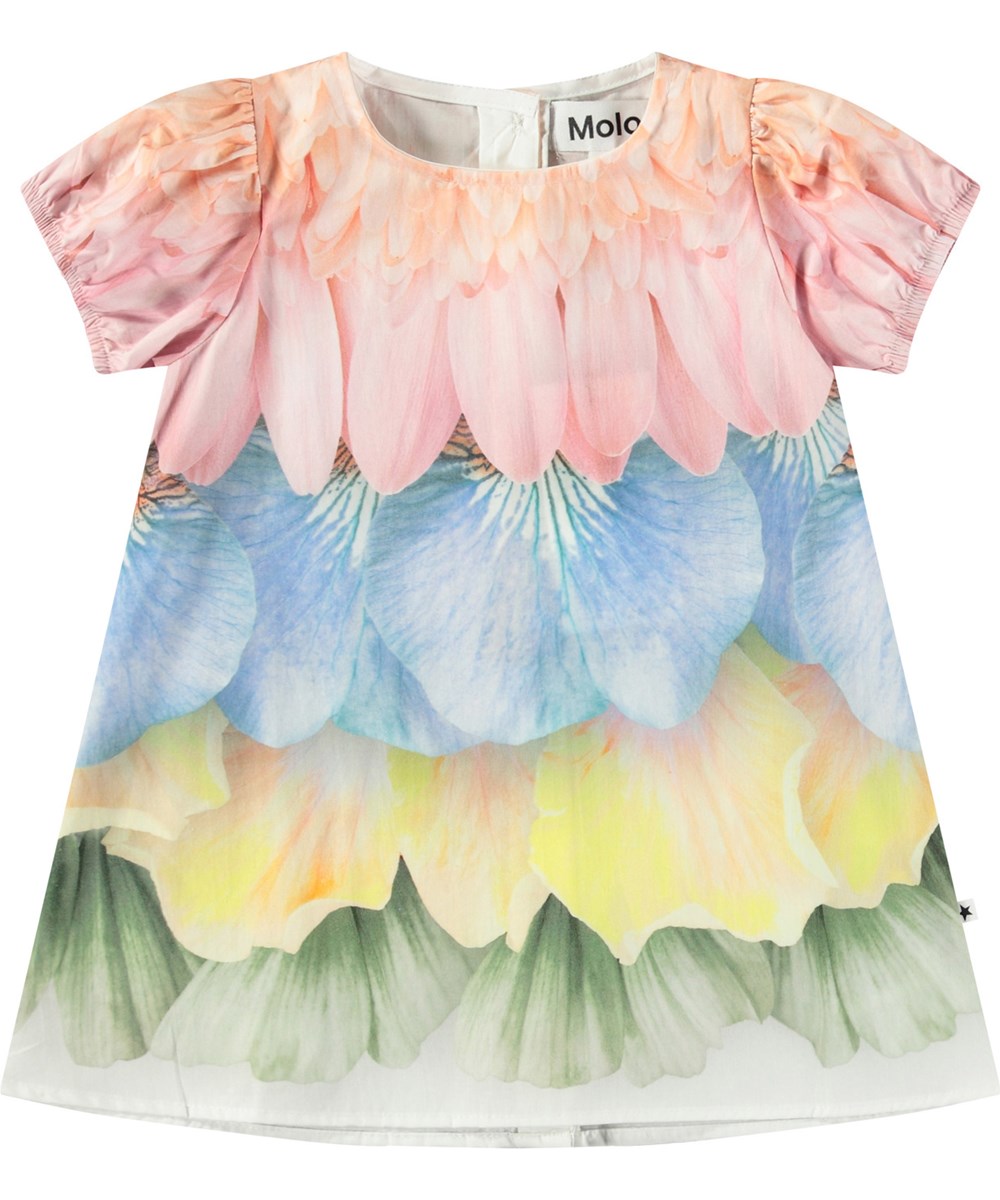 Molo - Caja Dress (Baby)