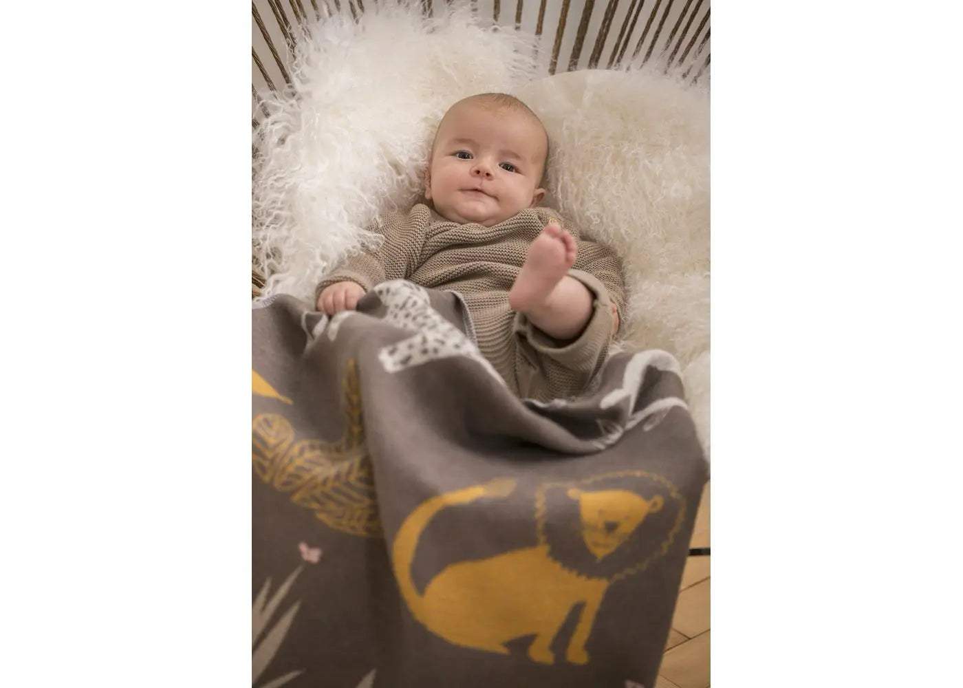 David Fussenegger - Juwel: Jungle cover