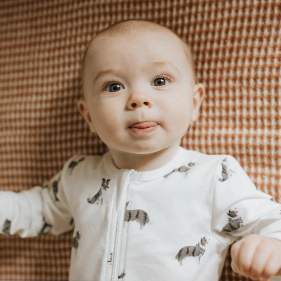 Petit Lem - Australian Shepherd Pajamas