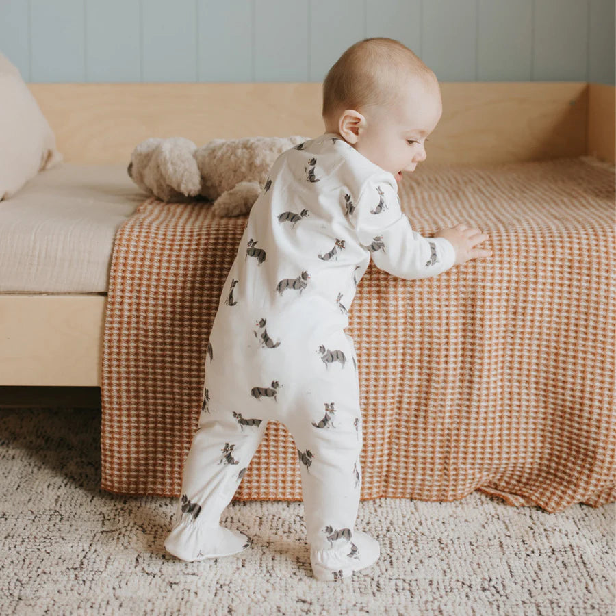 Petit Lem - Australian Shepherd Pajamas