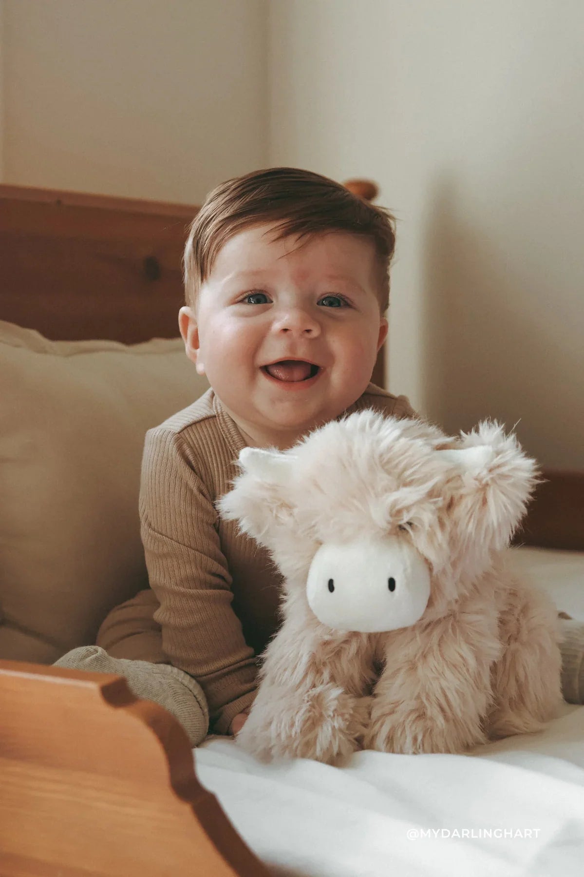 Snuggle Bunnies - Hilda la vache highland