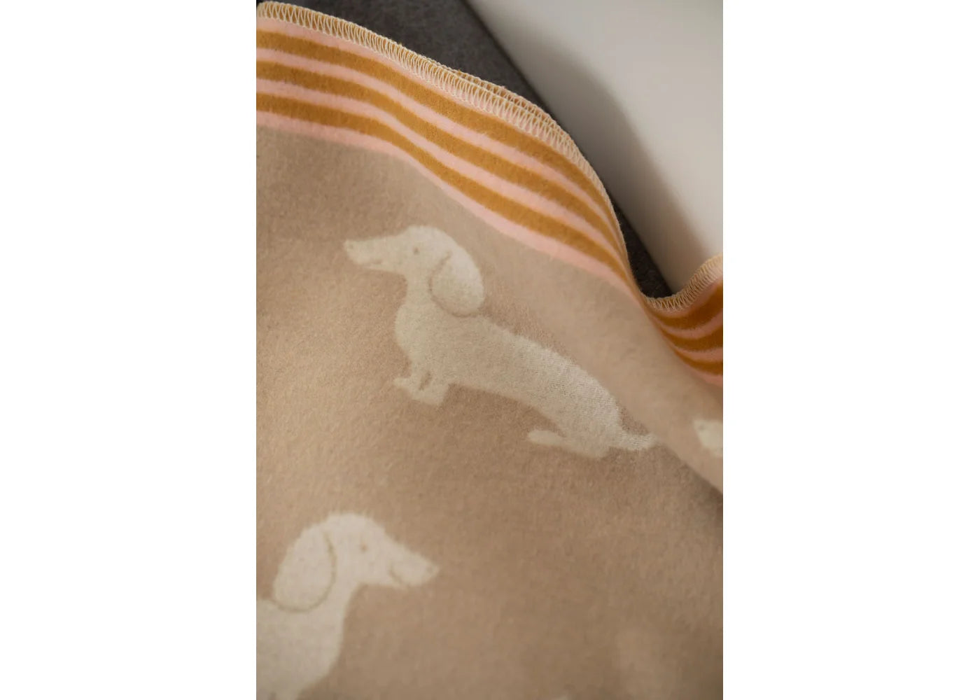 David Fussenegger - Juwel Cover: Dachshund
