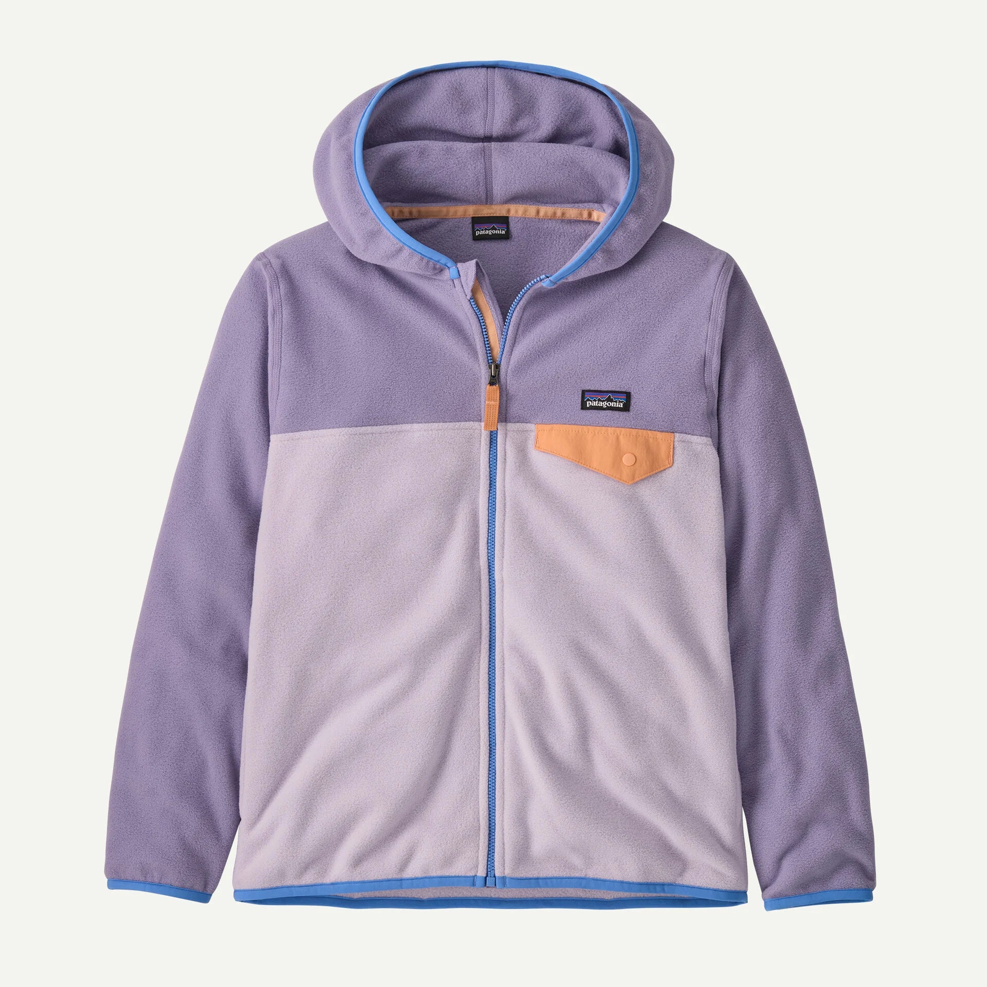 Patagonia - Veste Polaire Kid's Micro D Snap-T