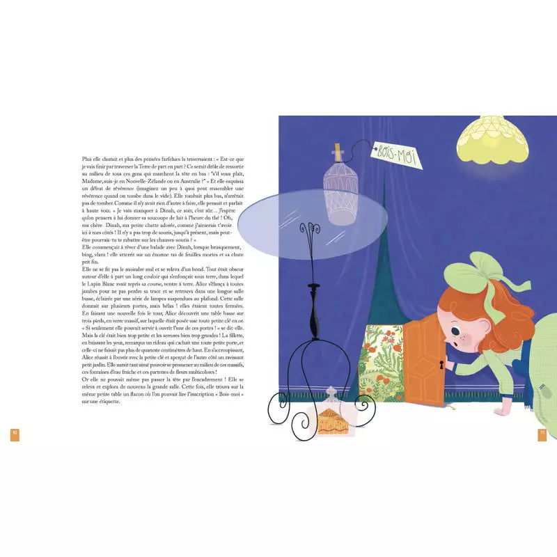 Livre - Alice au Pays des Merveilles : de l'autre côté du miroir
