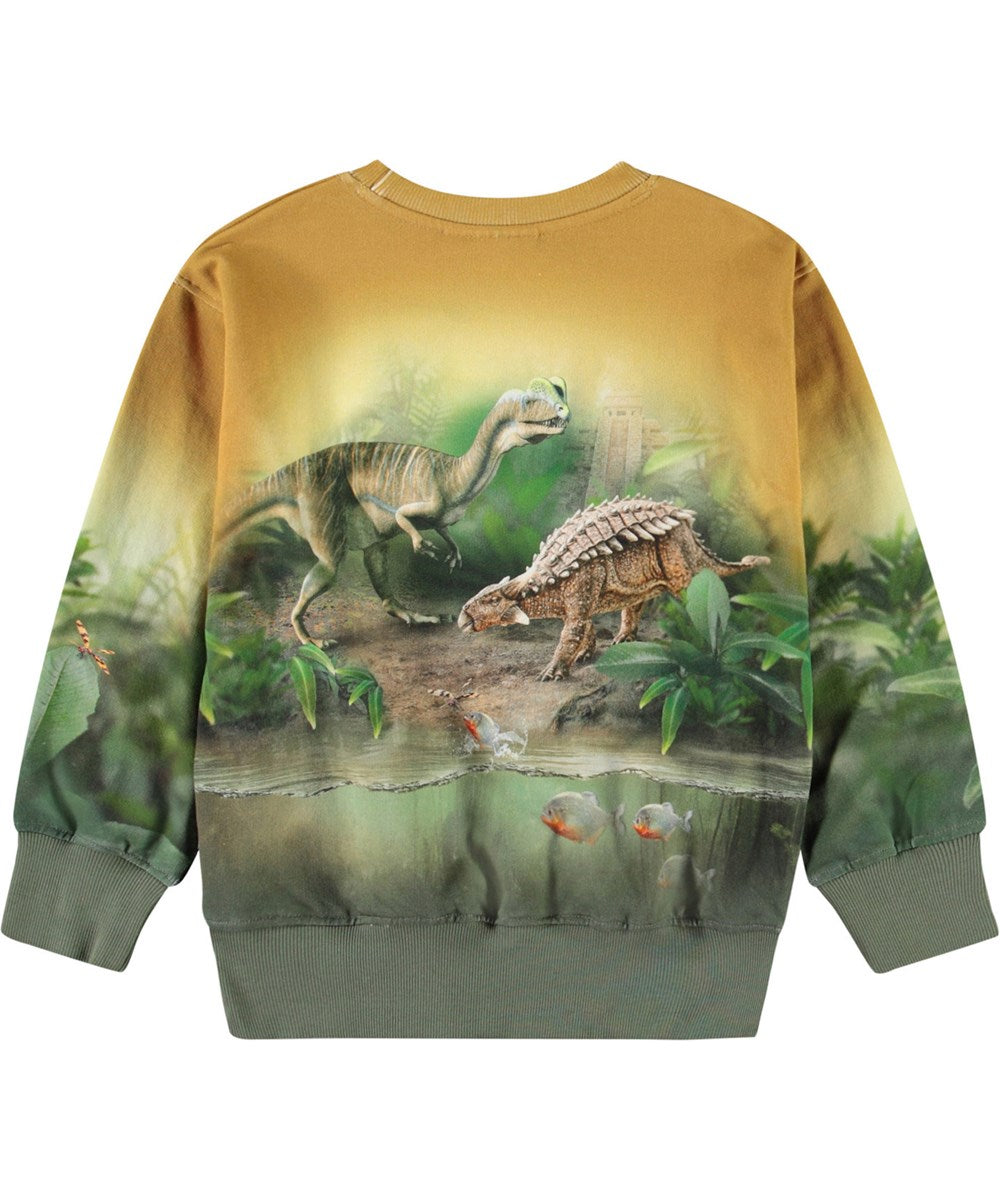 Molo - Sweatshirt Mattis