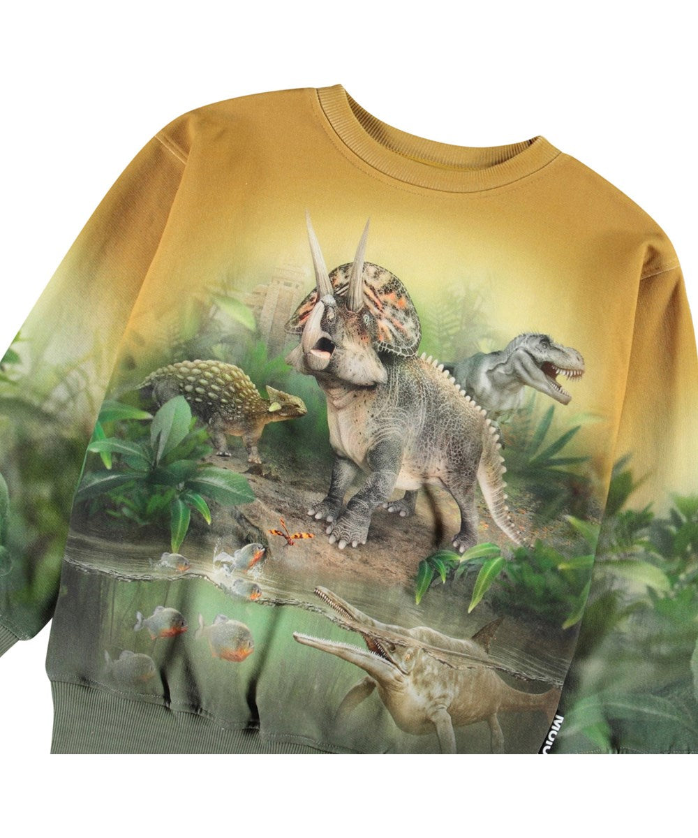 Molo - Sweatshirt Mattis