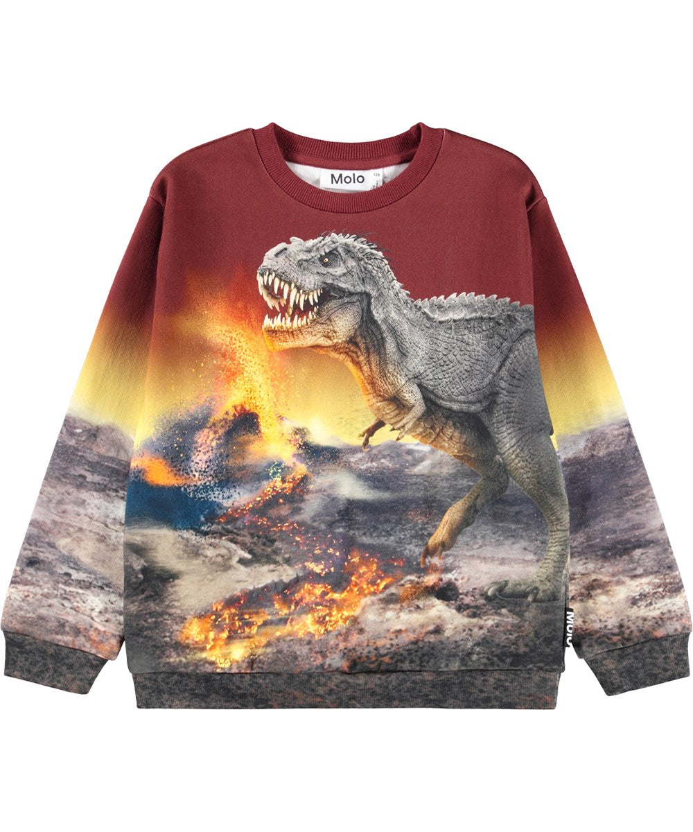 Molo - Miksi Sweatshirt