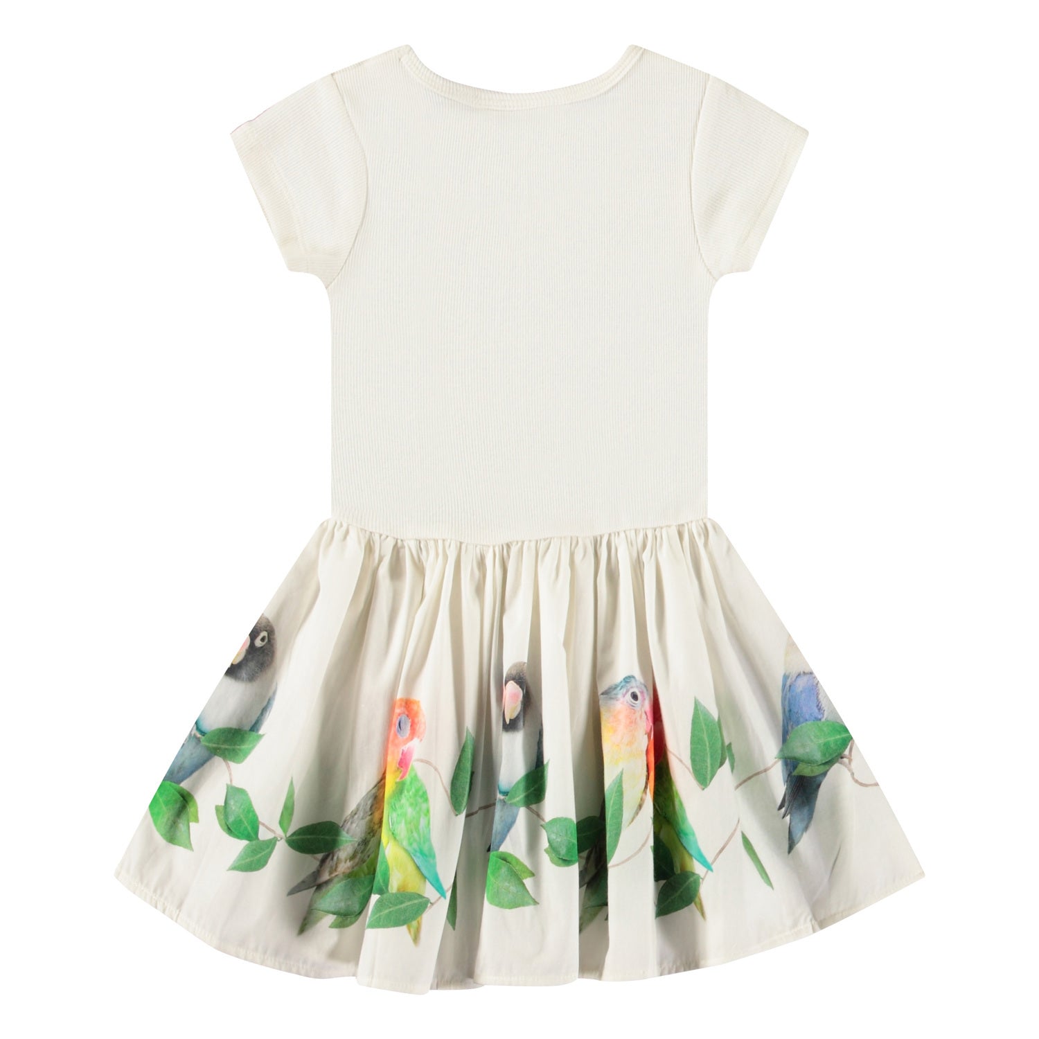 Molo - Carin Dress (Baby)
