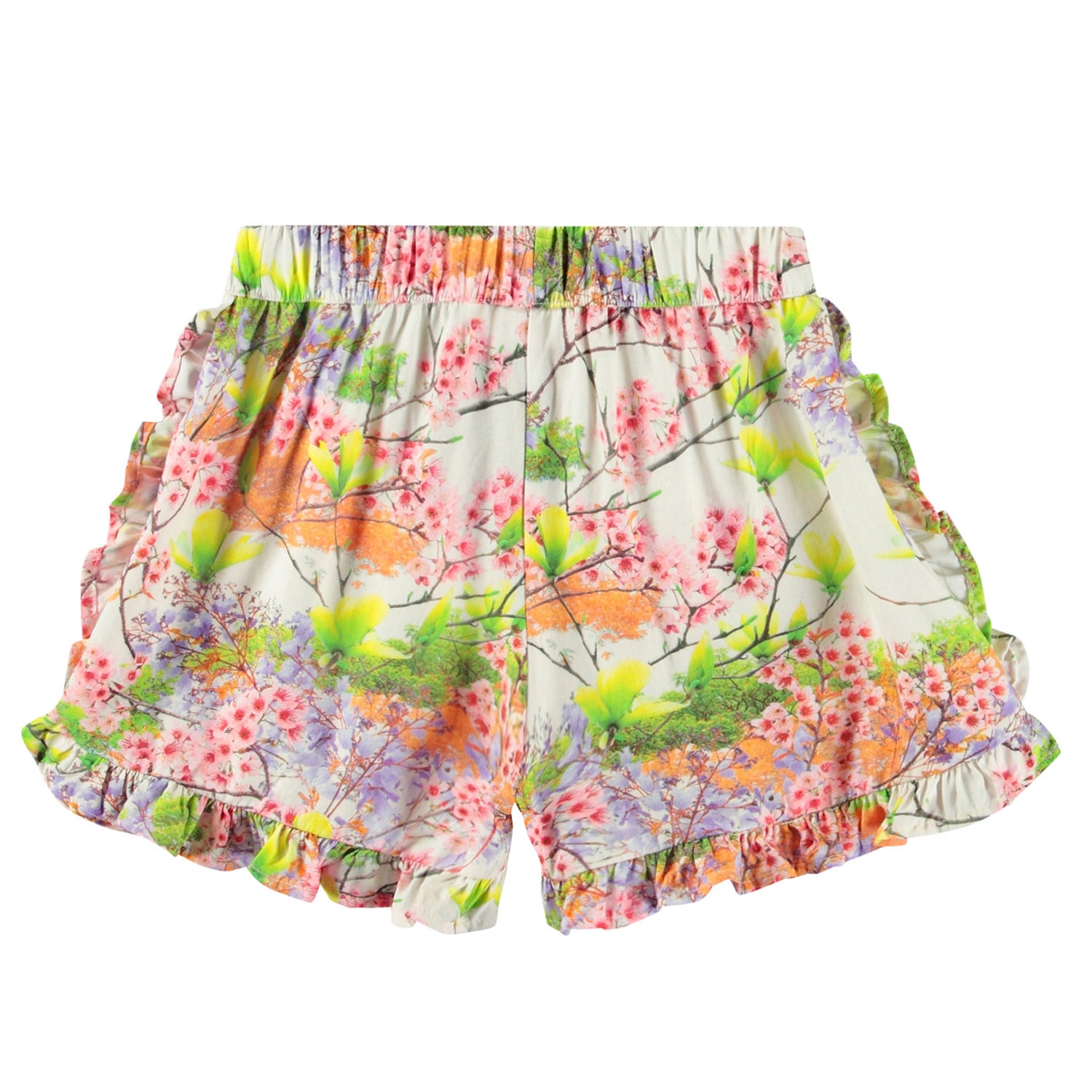 Molo - Short Acacia