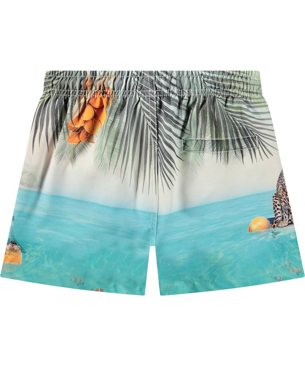 Molo - Short de bain Niko