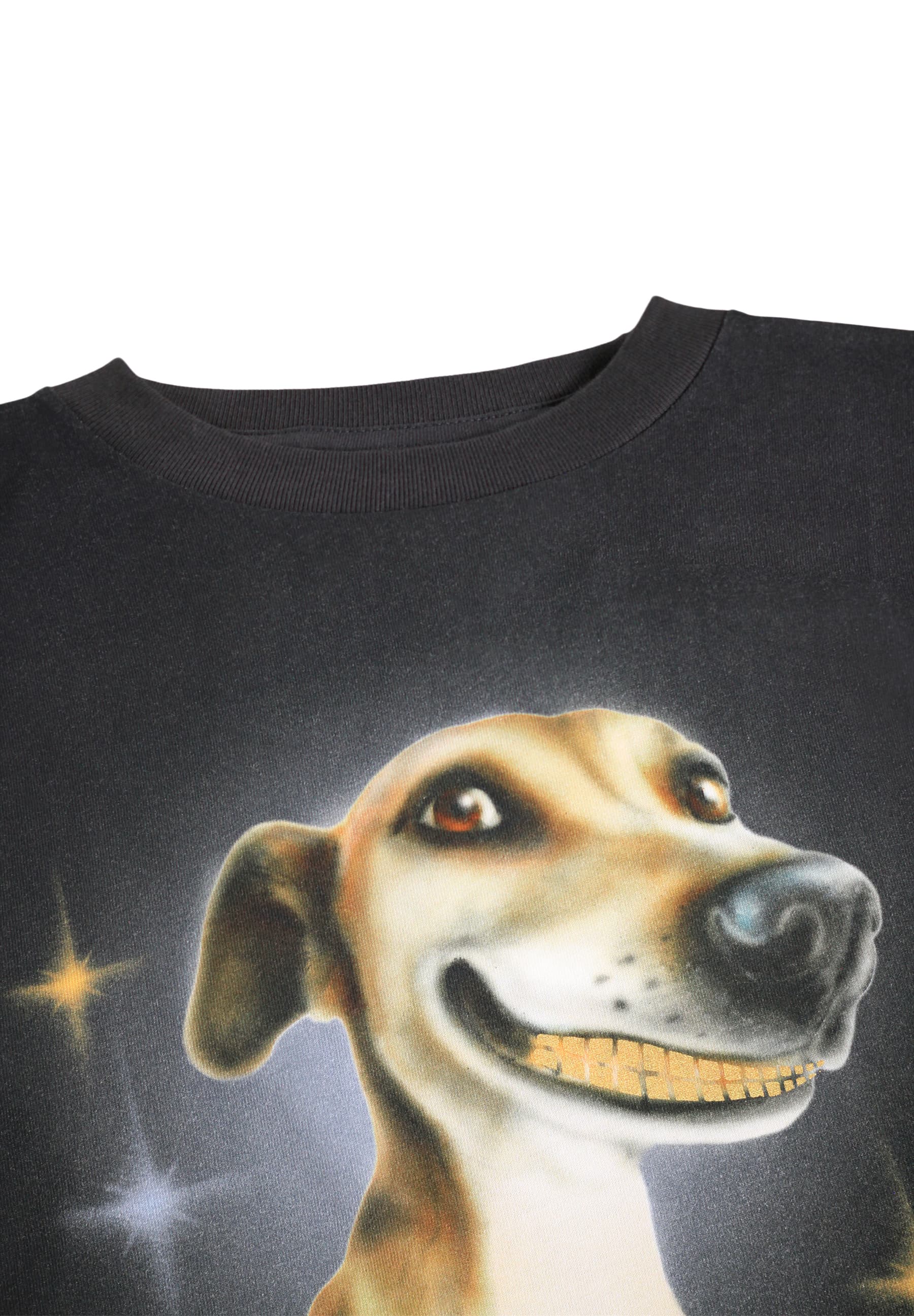 Molo - T-Shirt Rube