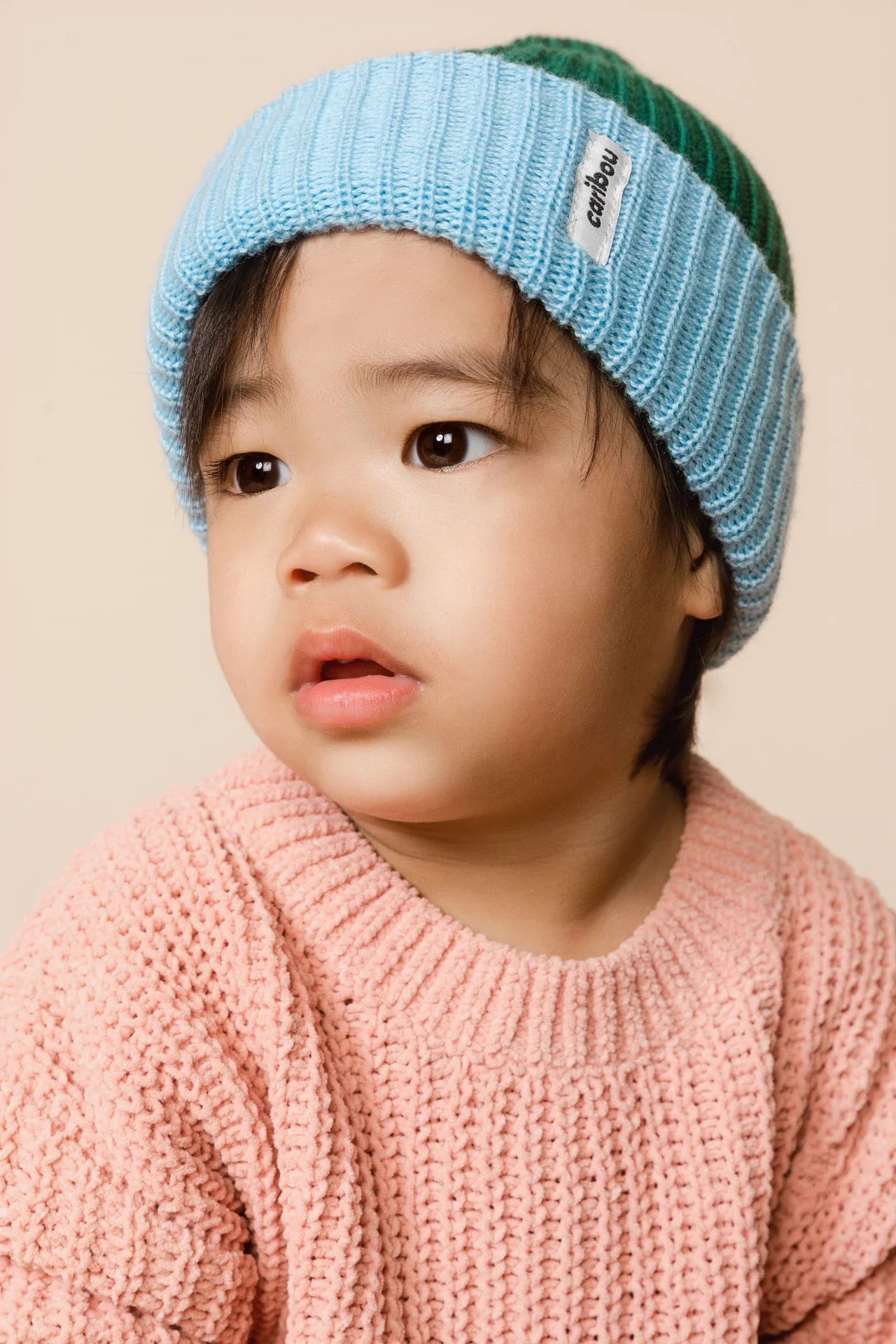 Caribou - Tuque Pêcheur