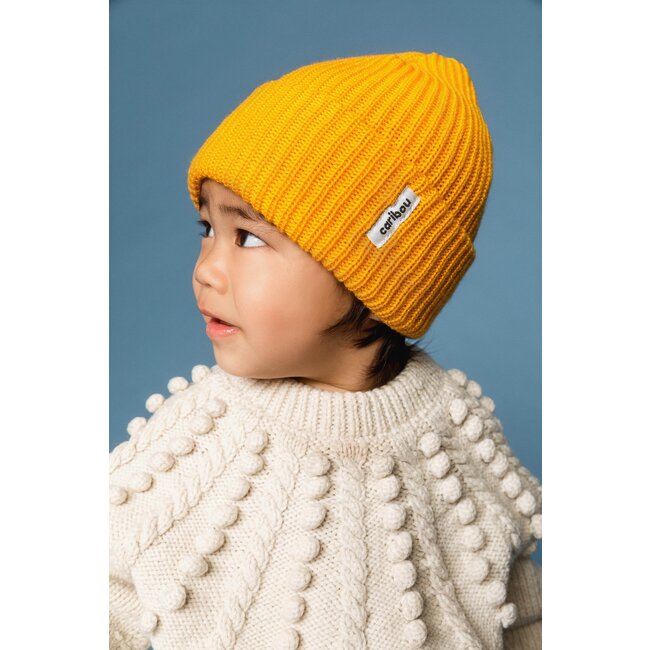 Caribou - Tuque Pêcheur