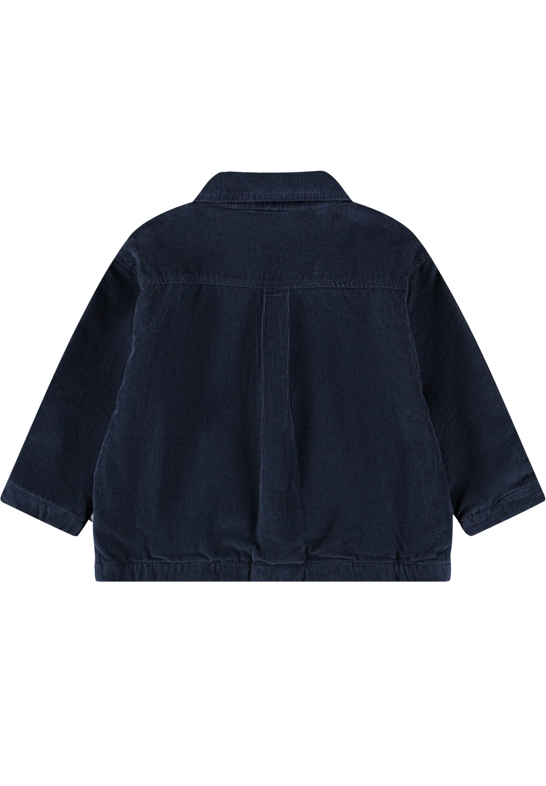 Molo - Veste Honors