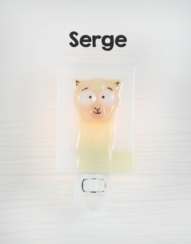 Veille Sur Toi - Alpaga Serge