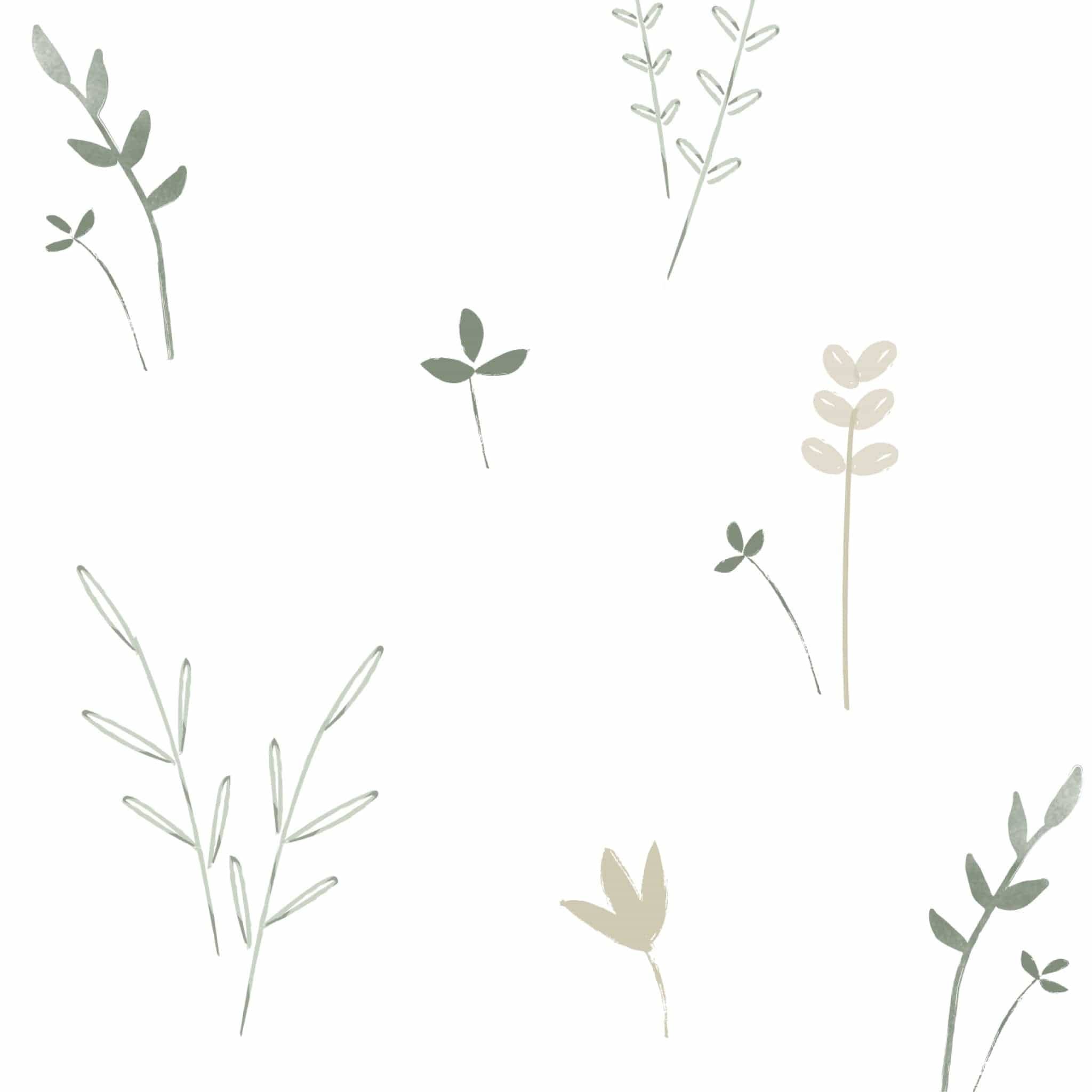 Perlimpinpin - Lange en mousseline de coton - Feuilles