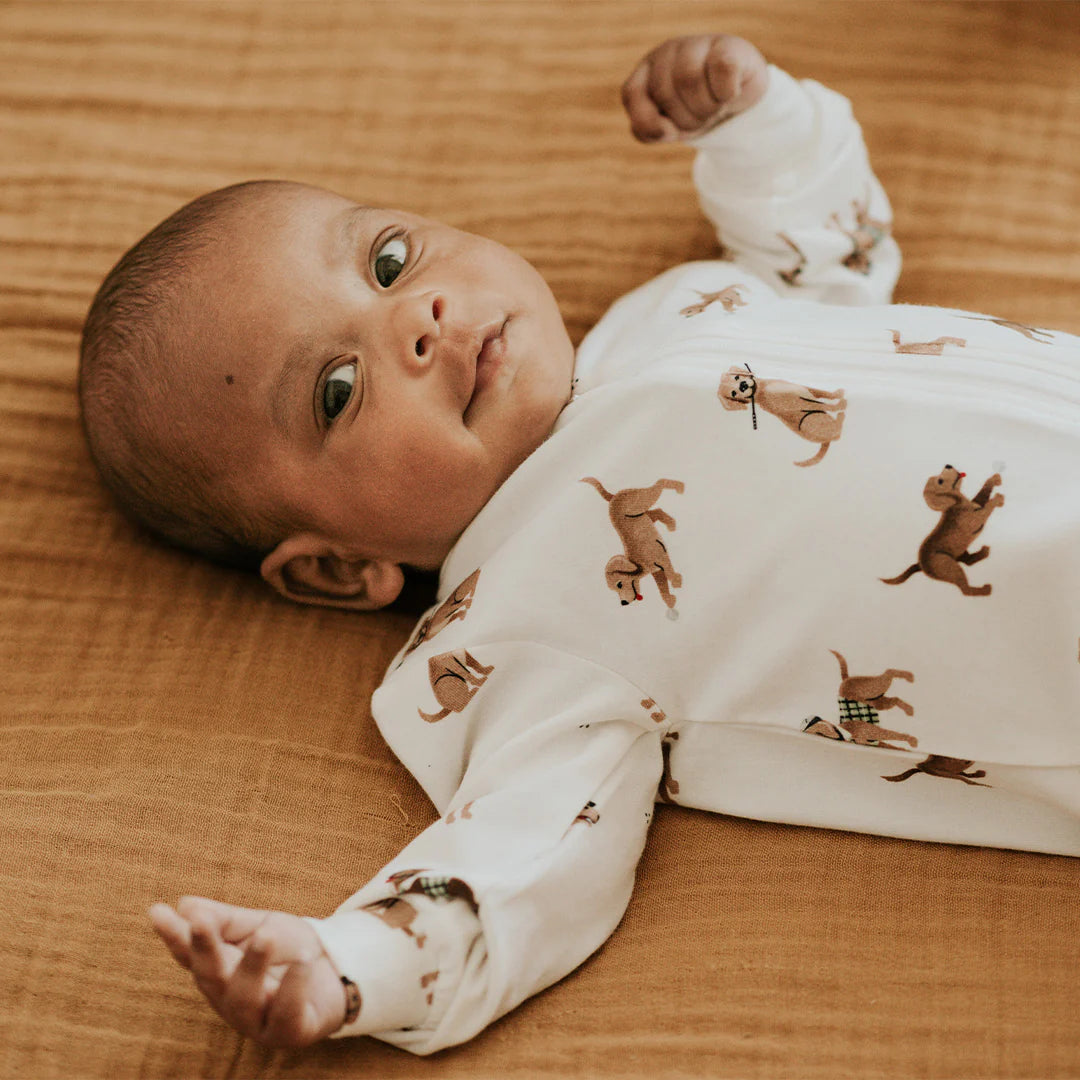 Petit Lem - Dog Sleeper