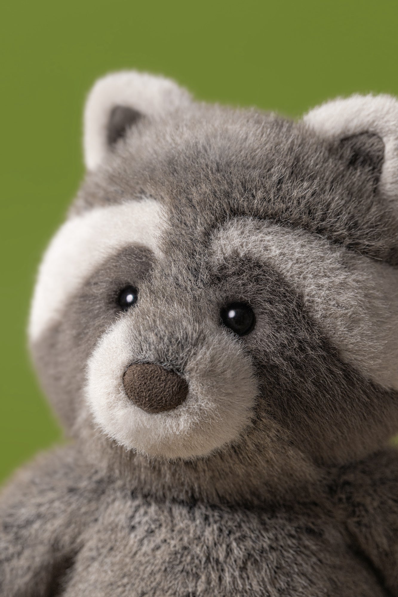 Bashful Raccoon | Jellycat Raccoon | Billie le Kid