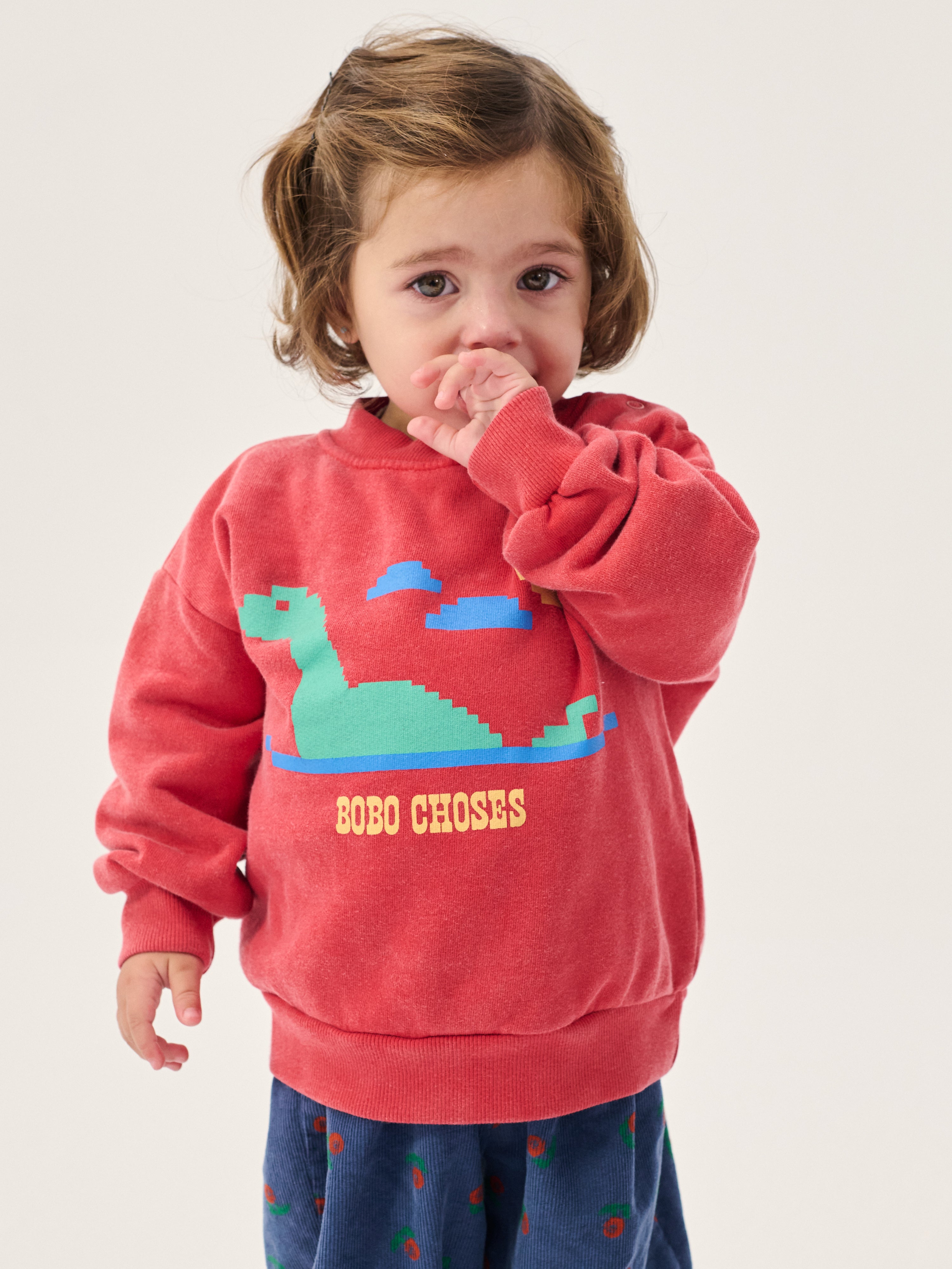 Bobo Choses - Lake Monster Sweatshirt (Baby)