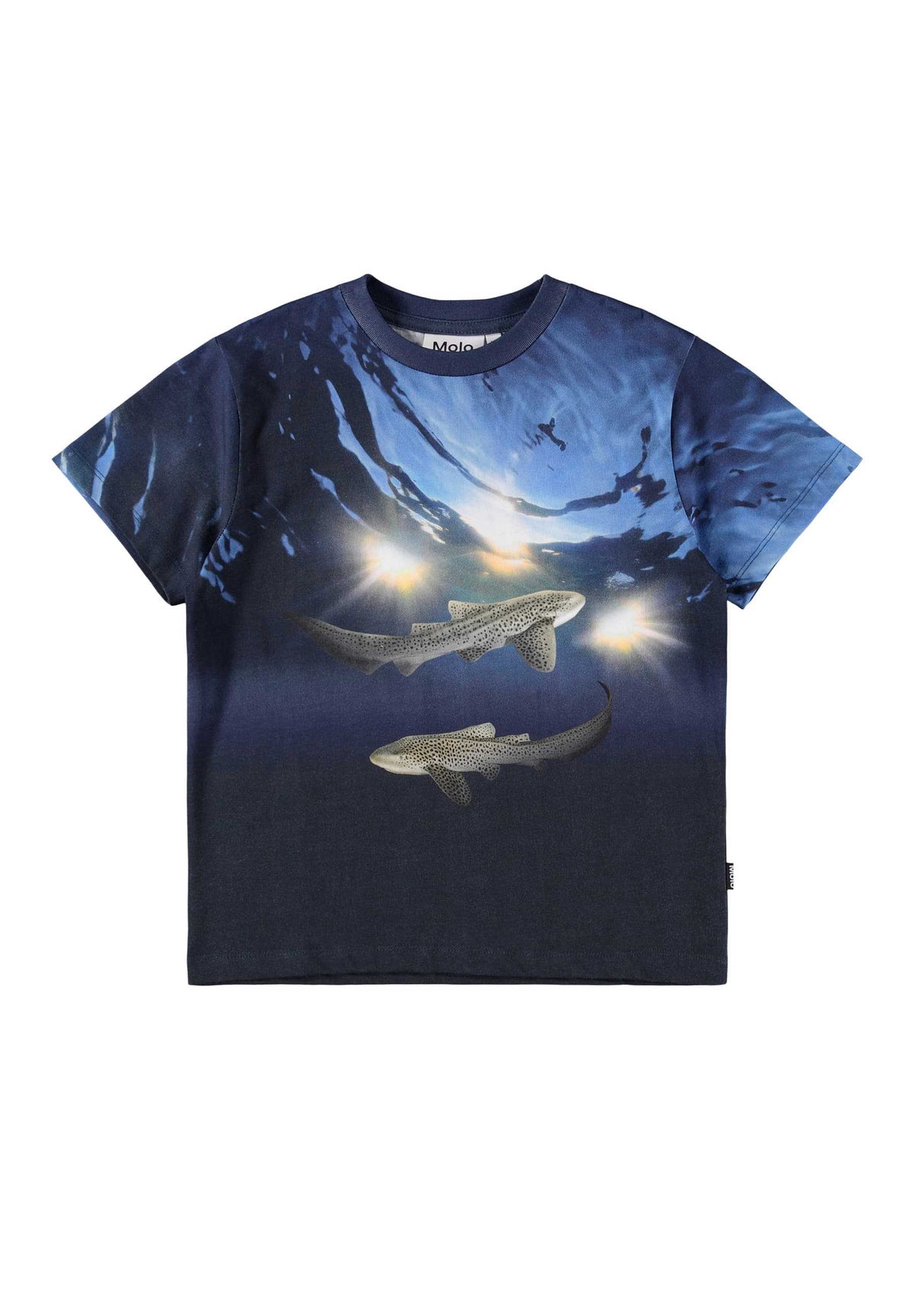 Molo - T-Shirt Manches Courtes Rame