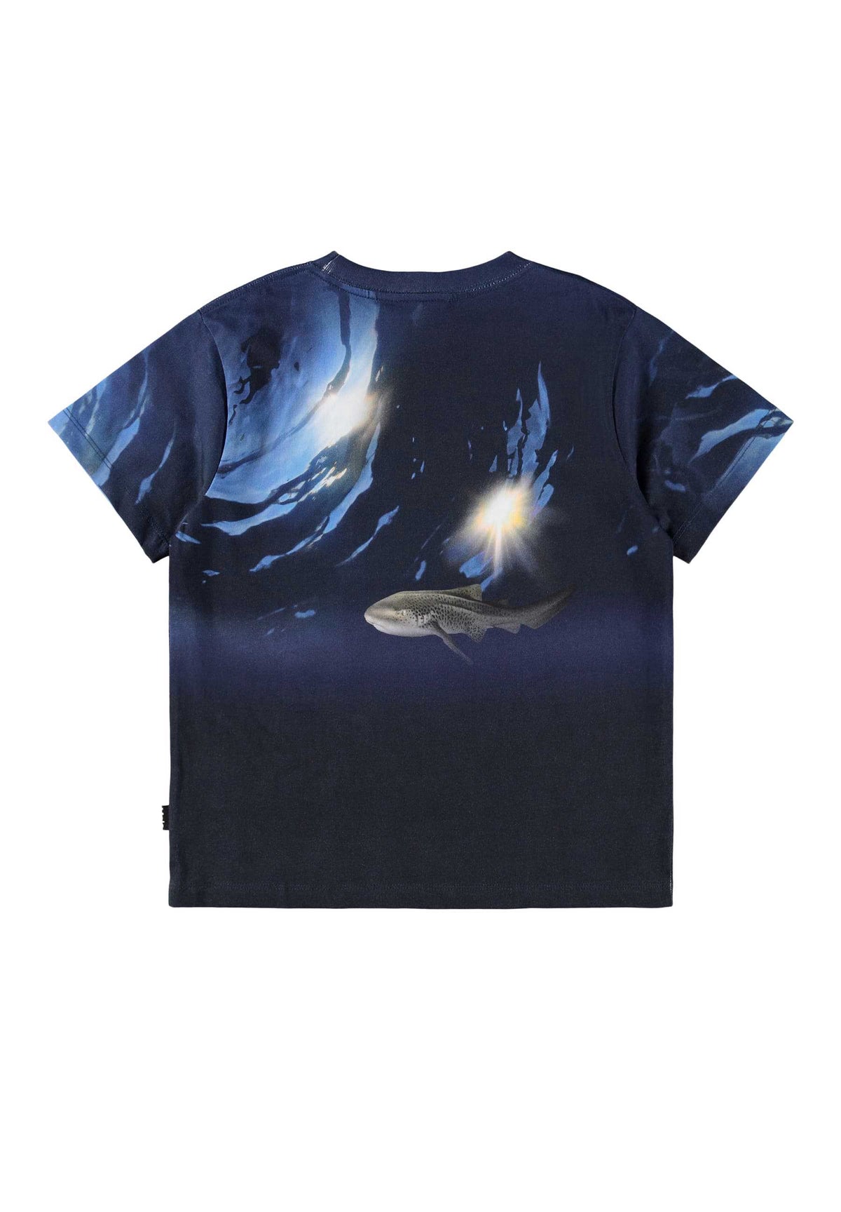 Molo - T-Shirt Manches Courtes Rame