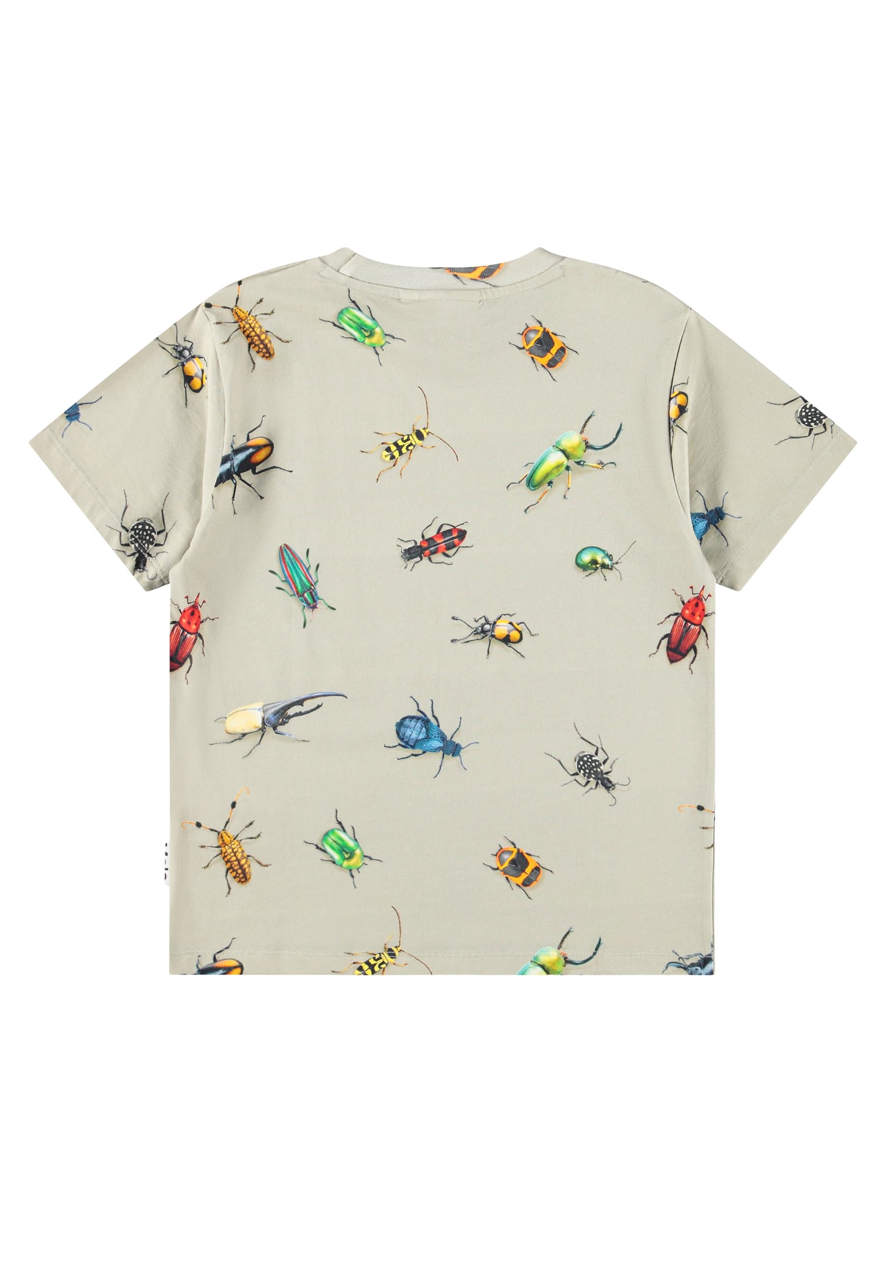 Molo - T-shirt manches courtes Riley