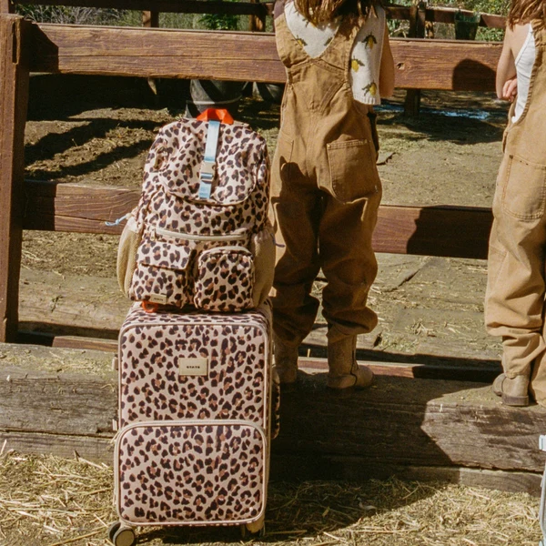 State - Logan Carry-On Suitcase