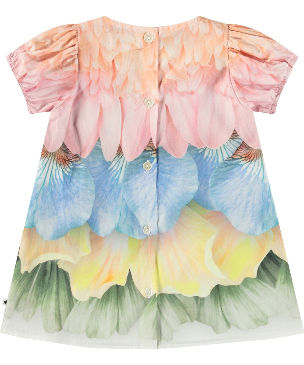 Molo - Caja Dress (Baby)