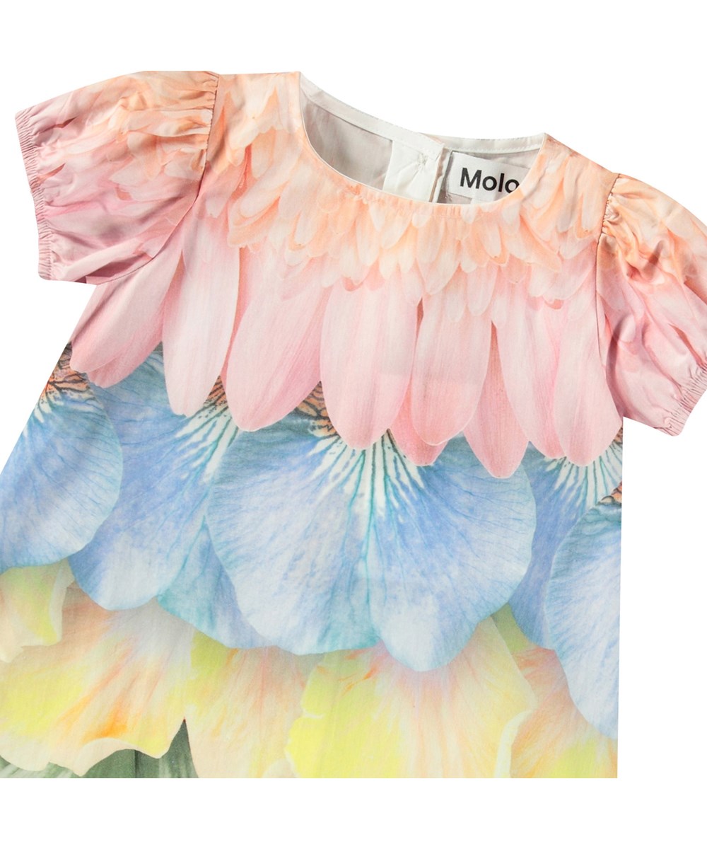 Molo - Caja Dress (Baby)