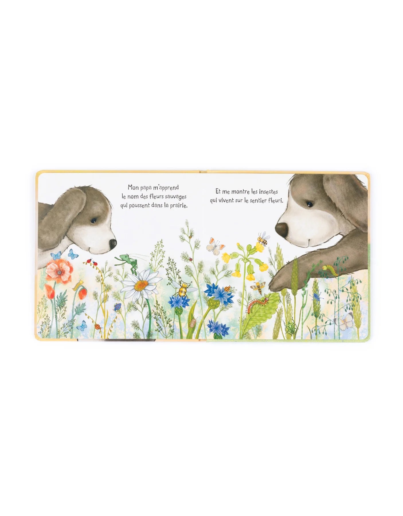 Jellycat - Livre Caramel le Toutou Timide et son Papa