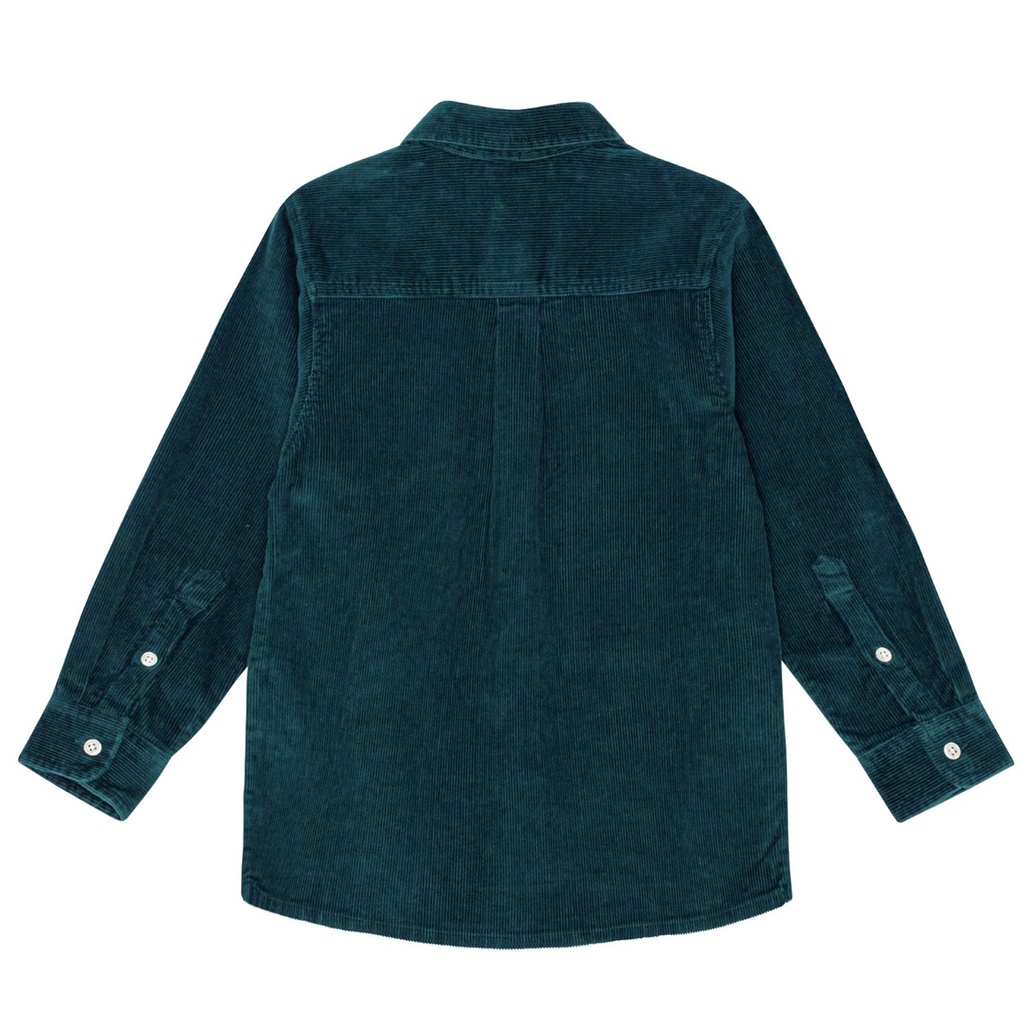 Chemise à manches longues vert forêt.
