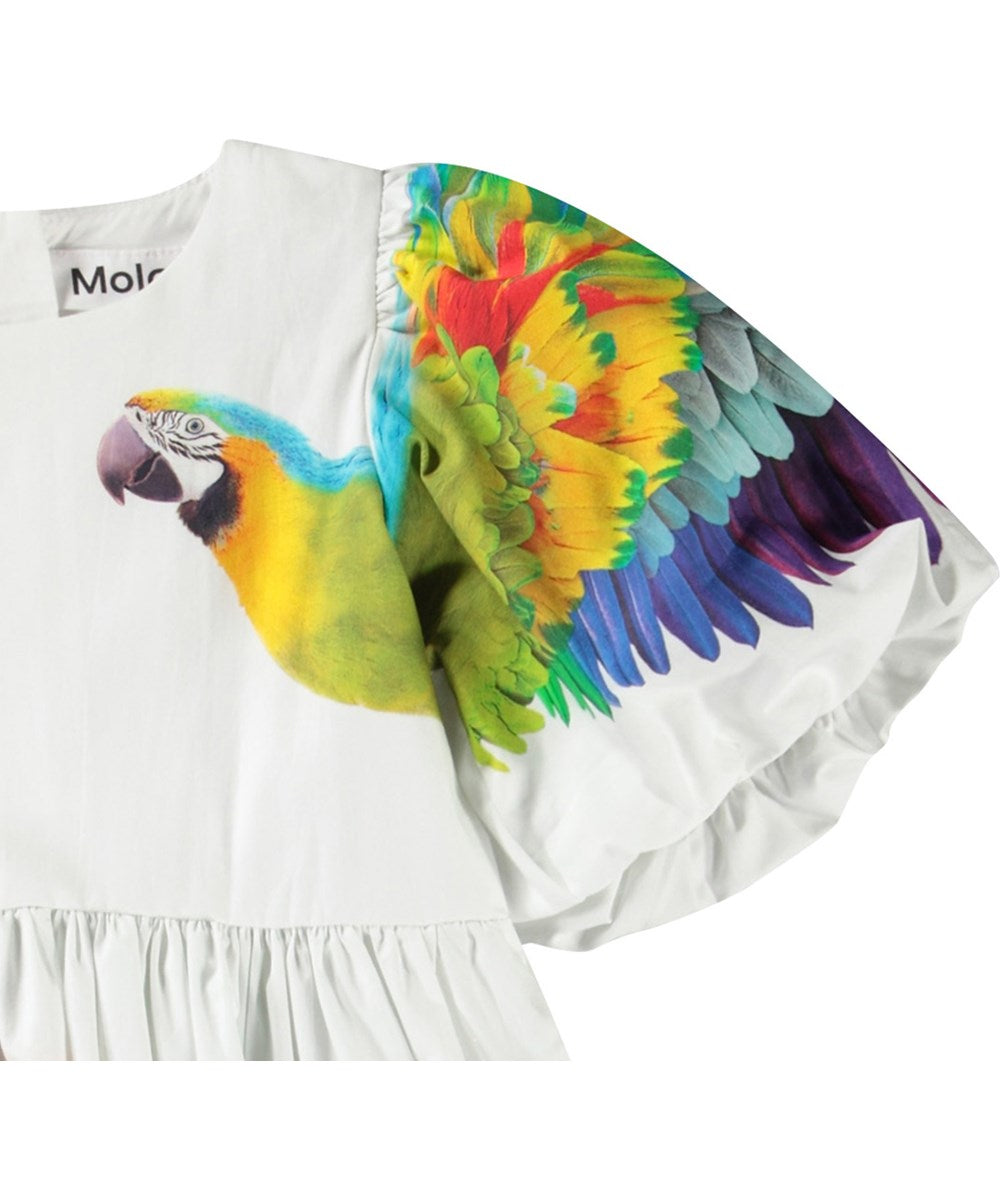 Molo - Chica Dress