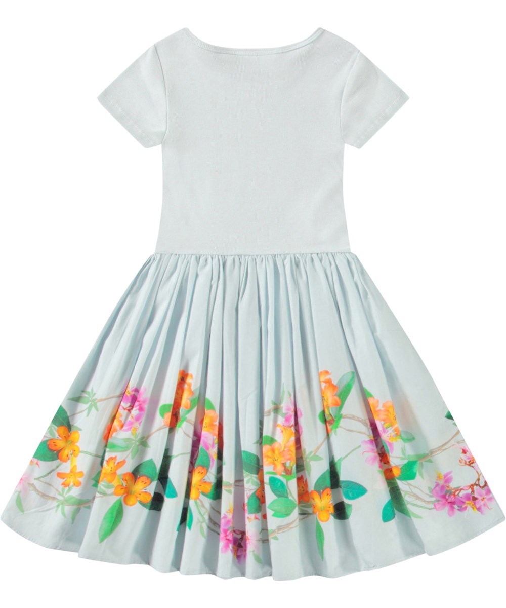 Molo - Robe Cissa