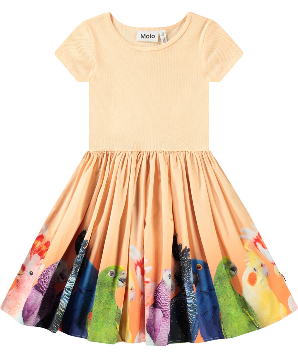 Molo - Cissa dress