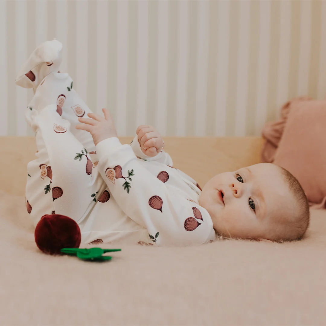 Petit Lem - Fig Sleeper