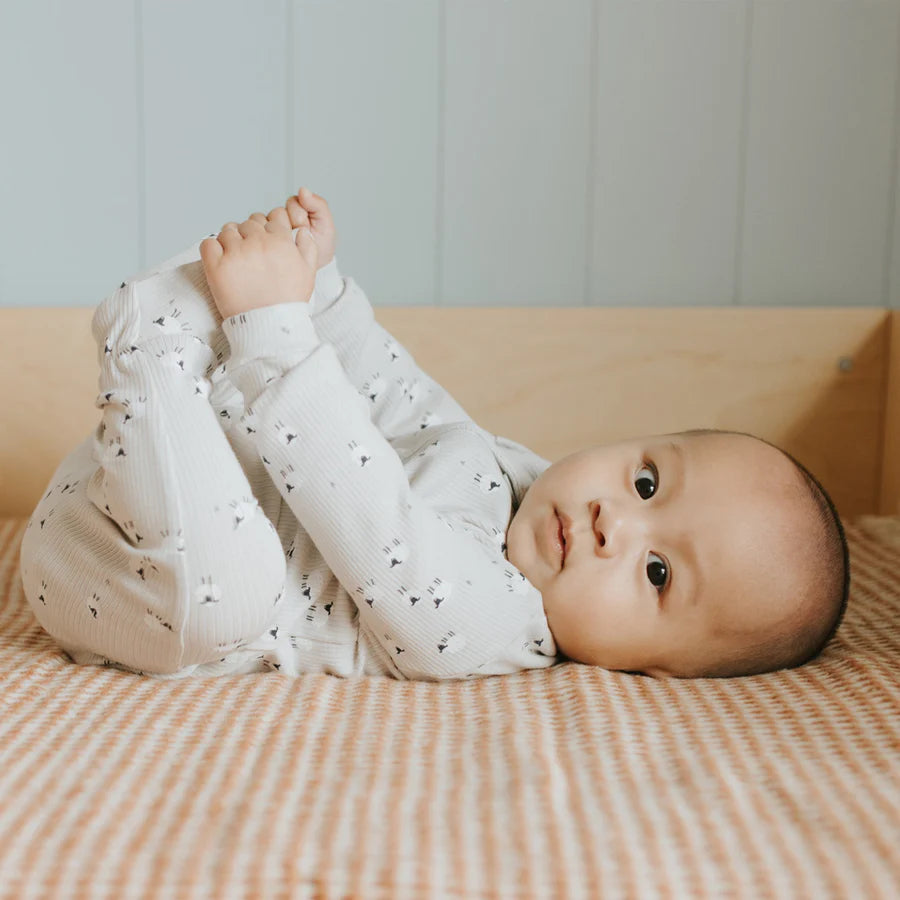 Petit lem - Pajamas sheep