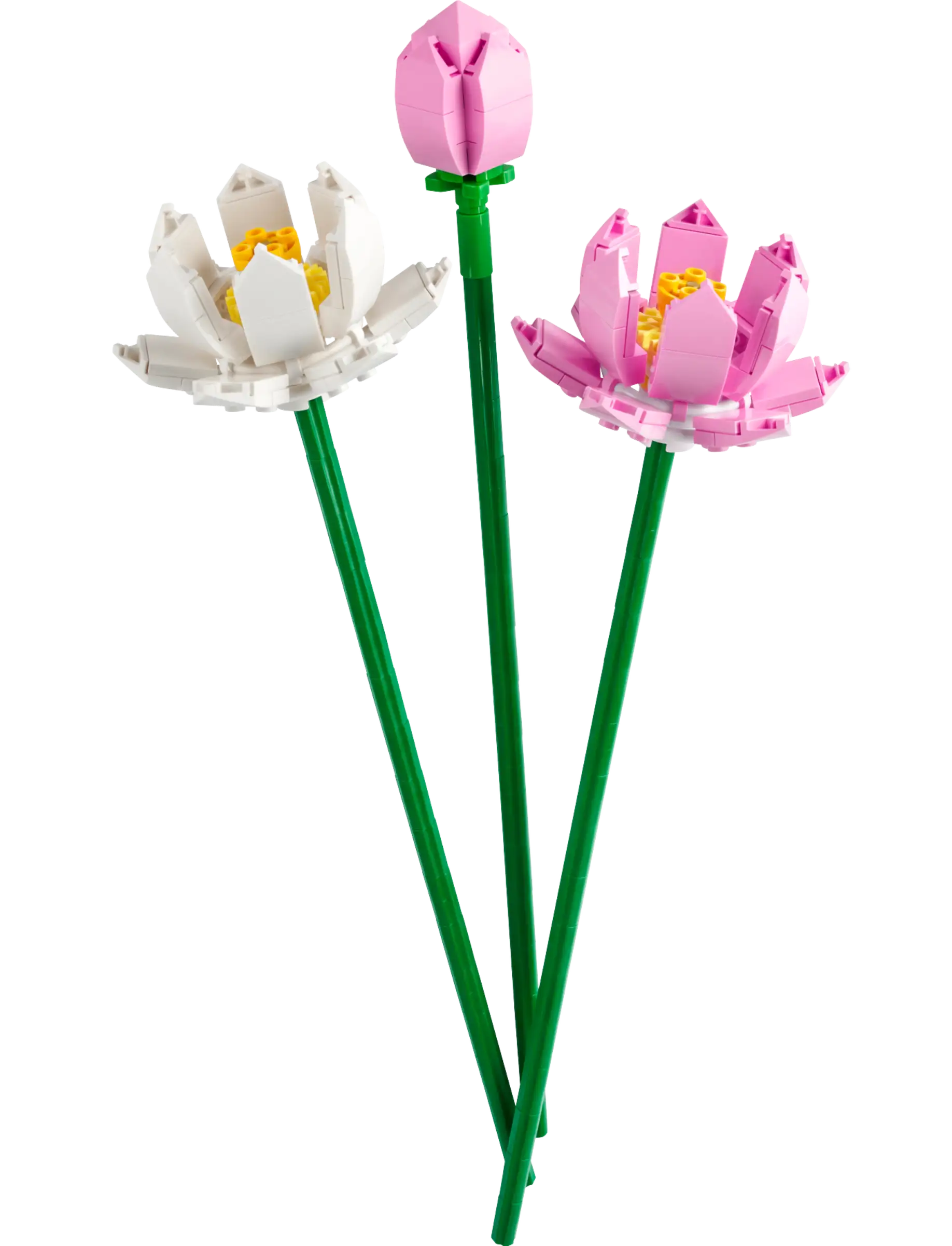 Lego - Fleurs de lotus