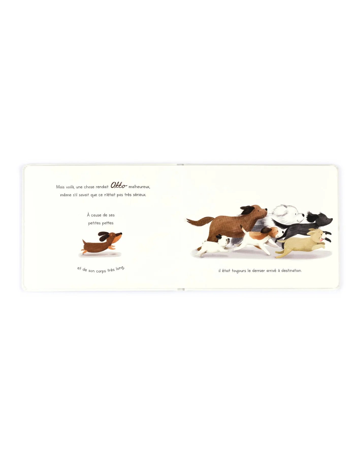 Jellycat - Otto the Little Sausage Dog book
