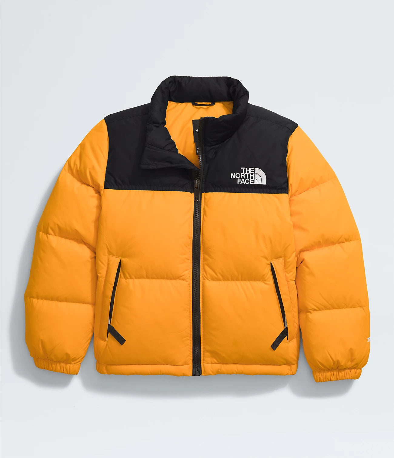 Kids the north face coat hot sale