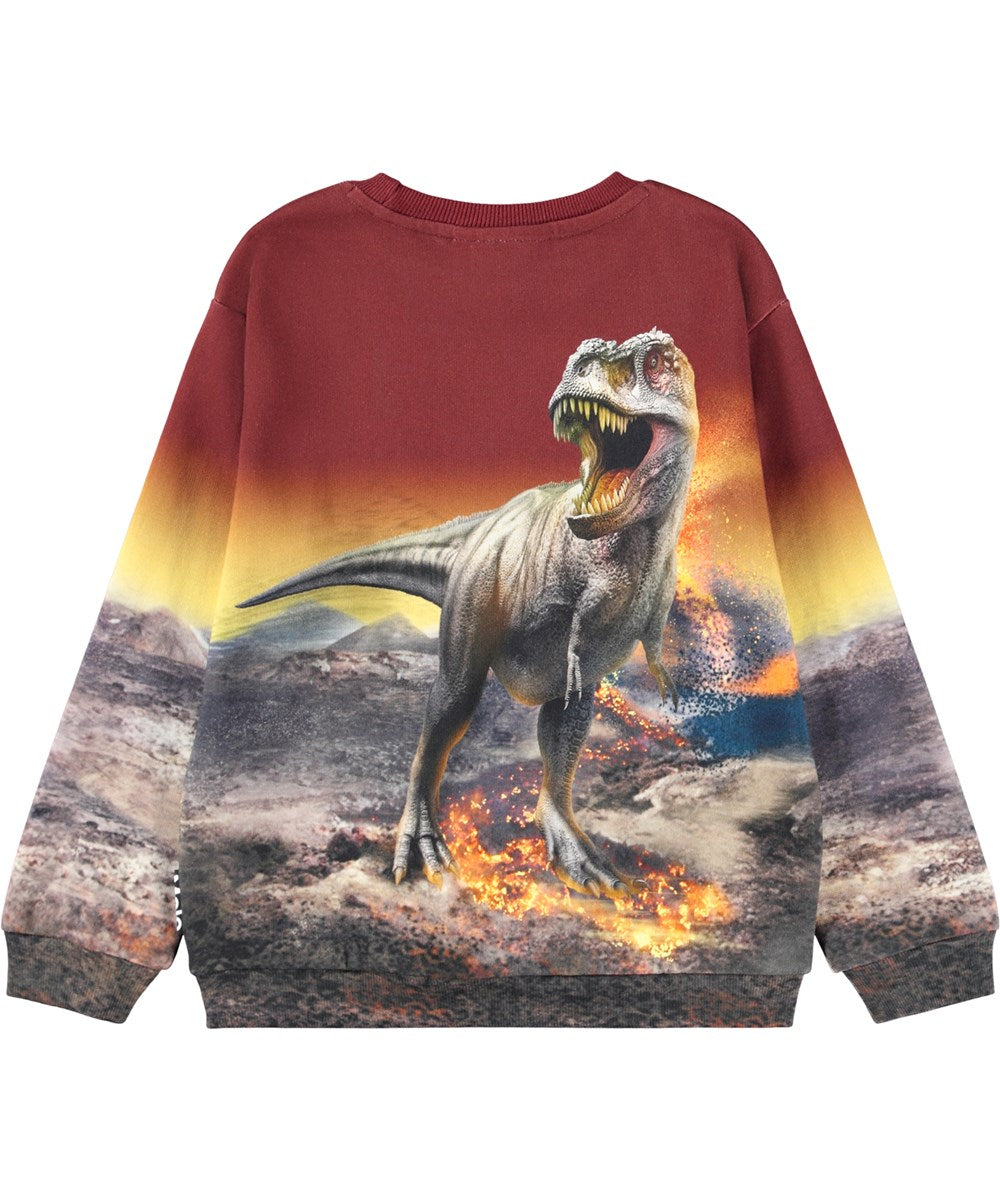 Molo - Miksi Sweatshirt
