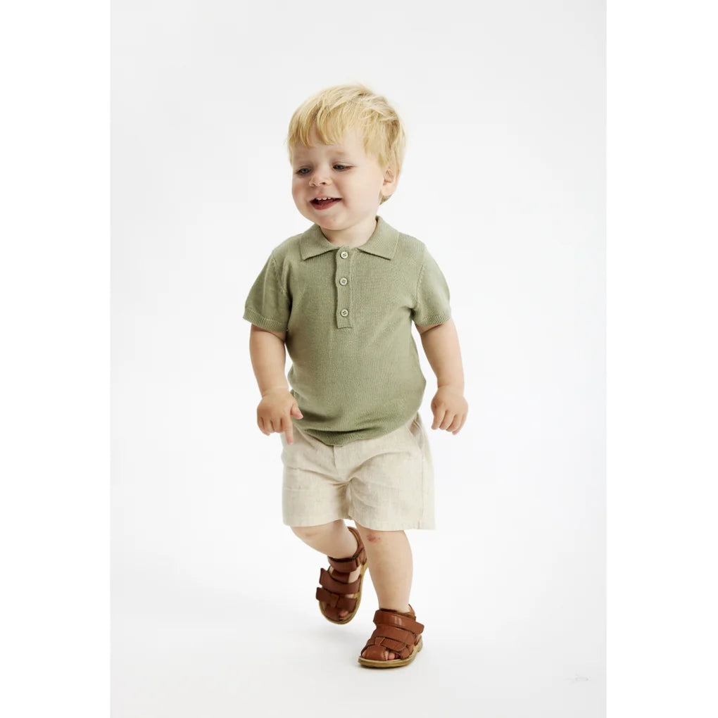 The New - Polo Olivio