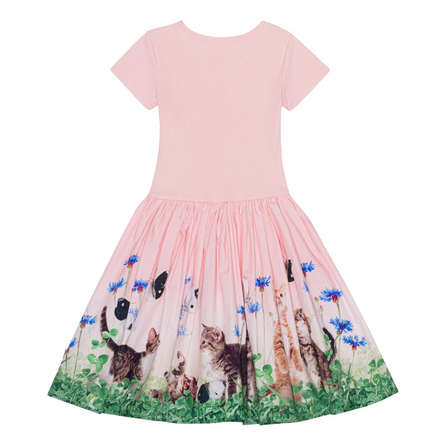 Molo - Robe Cissa
