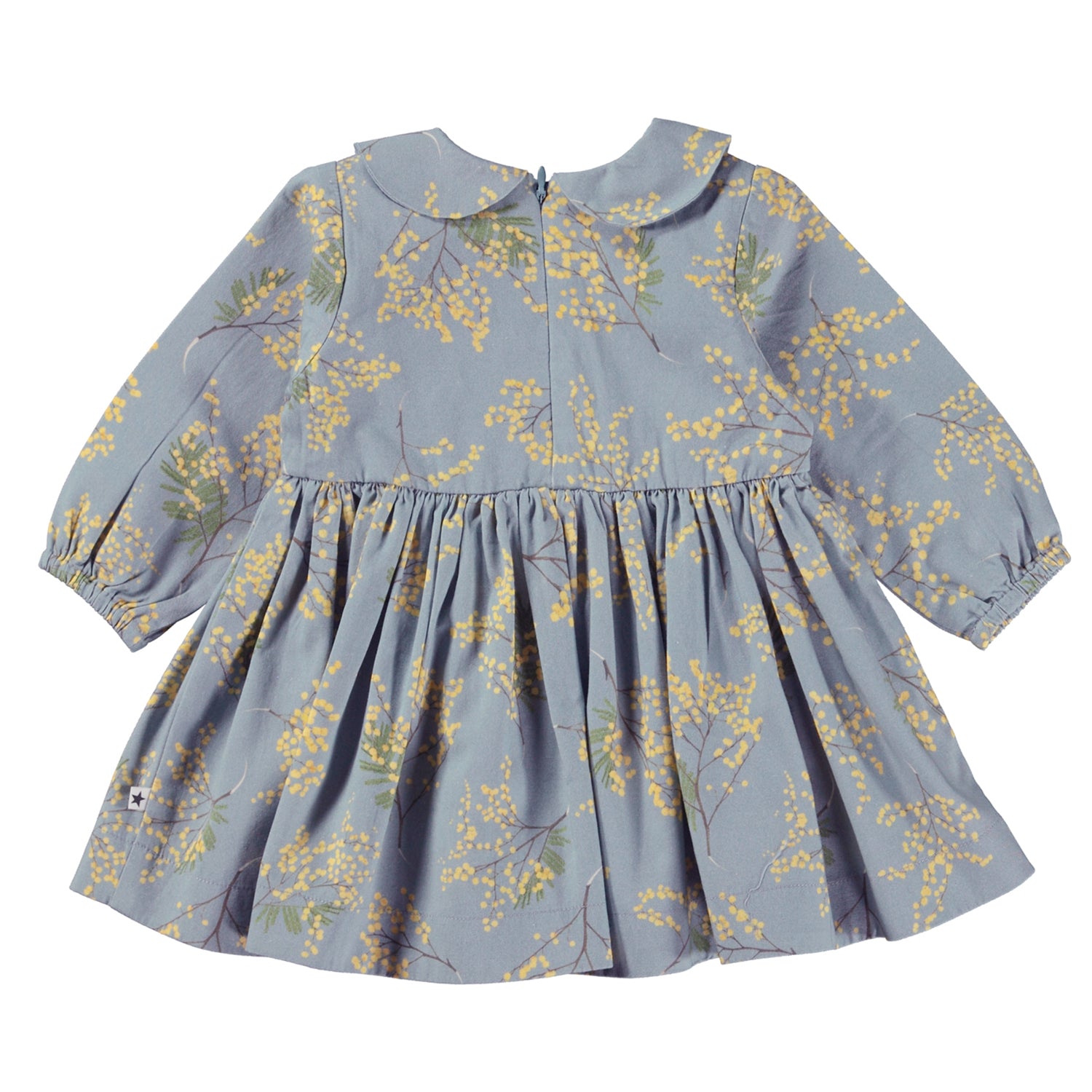 Molo - Robe Colleta
